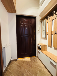 Pronájem bytu 1+1 v družstevním vlastnictví 34 m², Vyškov