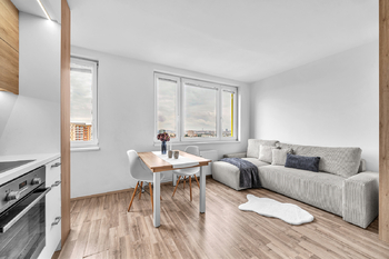 Prodej bytu 1+kk v osobním vlastnictví 31 m², Praha 10 - Záběhlice