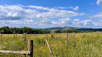 Prodej domu 150 m², Skuhrov