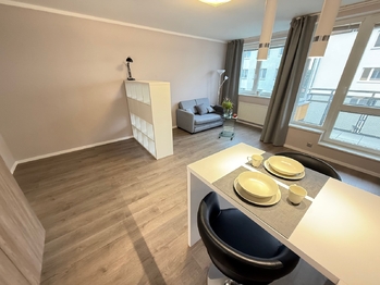 Pronájem bytu 1+kk v osobním vlastnictví 45 m², Praha 5 - Stodůlky