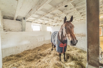 Prodej zemědělského objektu 740 m², Chlumín