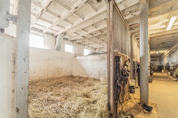 Prodej zemědělského objektu 740 m², Chlumín