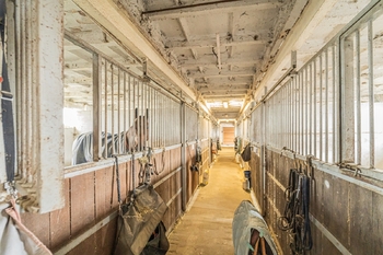 stáje - Prodej zemědělského objektu 740 m², Chlumín