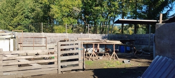 Prodej domu 160 m², Šindelová