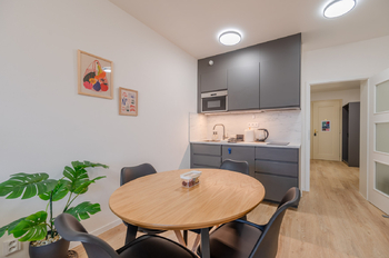 Prodej bytu 2+kk v osobním vlastnictví 48 m², Praha 3 - Žižkov