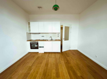 Pokoj a kuchyňská linka - Pronájem bytu 1+kk v osobním vlastnictví 25 m², Praha 3 - Vinohrady 