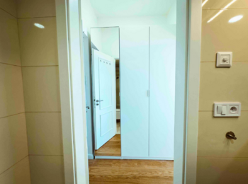 Vestavěná skříň - Pronájem bytu 1+kk v osobním vlastnictví 25 m², Praha 3 - Vinohrady