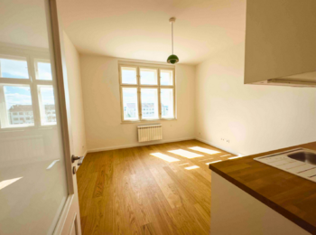 Hlavní pokoj - Pronájem bytu 1+kk v osobním vlastnictví 25 m², Praha 3 - Vinohrady