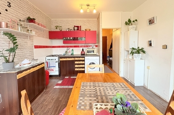Prodej bytu 1+1 v družstevním vlastnictví 36 m², Duchcov
