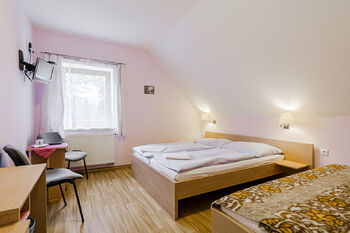 Prodej ubytovacího zařízení 341 m², Třeboň