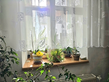 Prodej domu 191 m², Vroutek