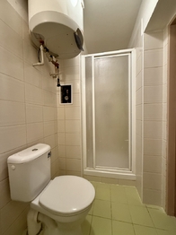 Pronájem bytu 1+kk v osobním vlastnictví 39 m², Plzeň