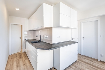 Pronájem bytu 3+1 v družstevním vlastnictví 76 m², Praha 6 - Vokovice