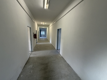 Prodej obchodních prostor 206 m², Pelhřimov