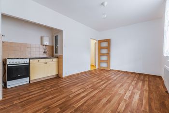 Prodej bytu 2+kk v osobním vlastnictví 43 m², Praha 3 - Žižkov