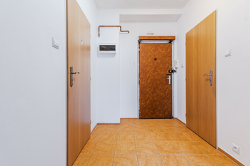 Prodej bytu 2+kk v osobním vlastnictví 43 m², Praha 3 - Žižkov