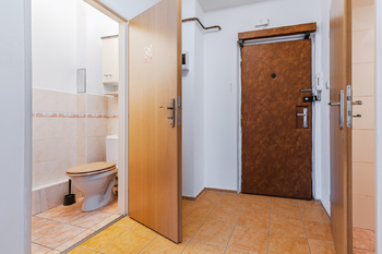 Prodej bytu 2+kk v osobním vlastnictví 43 m², Praha 3 - Žižkov