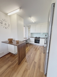 Pronájem bytu 3+kk v osobním vlastnictví 75 m², Praha 3 - Žižkov