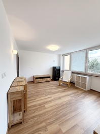 Pronájem bytu 3+kk v osobním vlastnictví 75 m², Praha 3 - Žižkov