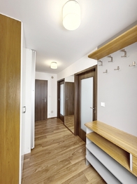 Pronájem bytu 3+kk v osobním vlastnictví 75 m², Praha 3 - Žižkov