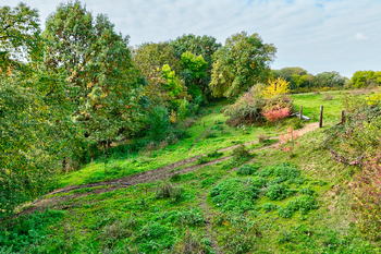 Prodej pozemku 2644 m², Škvorec