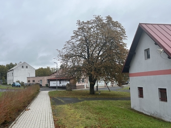 Prodej obchodních prostor 101 m², Mírová