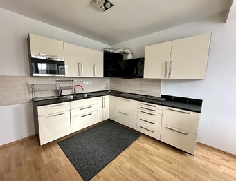 Pronájem bytu 4+1 v osobním vlastnictví 105 m², Vestec