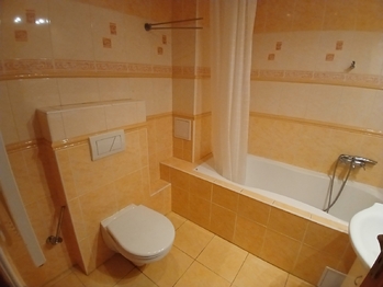 Pronájem bytu 2+1 v osobním vlastnictví 49 m², Lhotka nad Labem