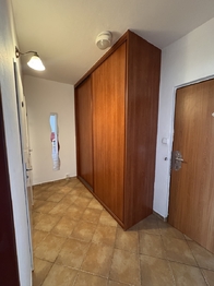 Pronájem bytu 1+1 v osobním vlastnictví 42 m², Brno