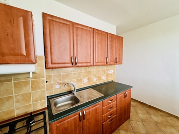 Pronájem bytu 1+1 v osobním vlastnictví 42 m², Brno