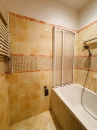 Pronájem bytu 1+1 v osobním vlastnictví 42 m², Brno