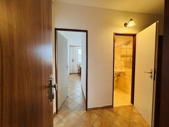 Pronájem bytu 1+1 v osobním vlastnictví 42 m², Brno