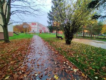 Pronájem bytu 4+kk v osobním vlastnictví 90 m², Litoměřice