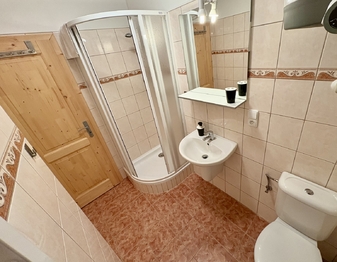 Prodej apartmánu 320 m², Stachy