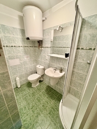 Prodej apartmánu 320 m², Stachy