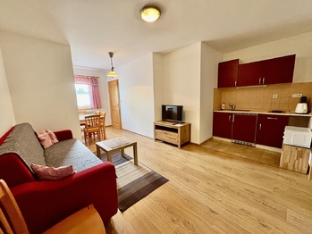 Prodej apartmánu 320 m², Stachy