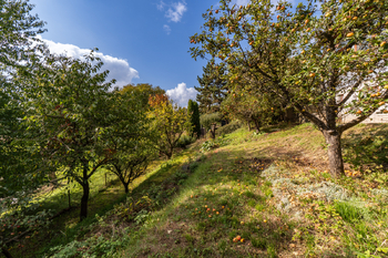 Prodej chaty / chalupy 50 m², Praha 6 - Sedlec