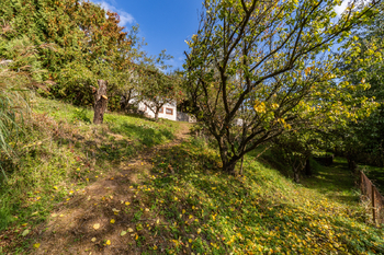 Prodej chaty / chalupy 50 m², Praha 6 - Sedlec