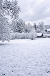 Prodej pozemku 1125 m², Maršovice