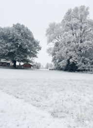 Prodej pozemku 1125 m², Maršovice