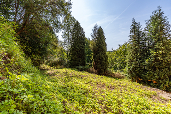 Prodej domu 533 m², Rakousy
