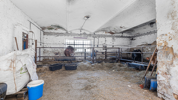 Další budova s chovem dobytka - Prodej zemědělského objektu 244 m², Vitice
