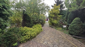 Pronájem obchodních prostor 20000 m², Slaný