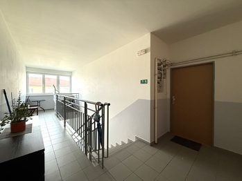Pronájem bytu 2+kk v osobním vlastnictví 62 m², Dobřany