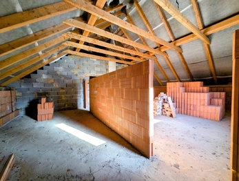 plánovaný byt ... - Prodej obchodních prostor 420 m², Česká Bělá