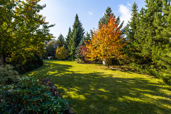 Prodej domu 258 m², Doksy