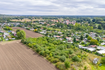 Prodej pozemku 6037 m², Přítluky