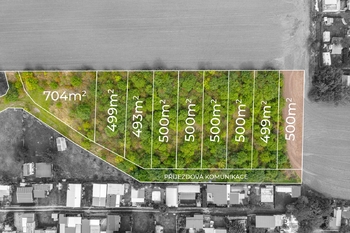Prodej pozemku 6037 m², Přítluky