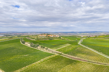 Prodej pozemku 6037 m², Přítluky