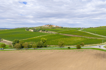 Prodej pozemku 6037 m², Přítluky
